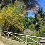Azzurra בית נופש