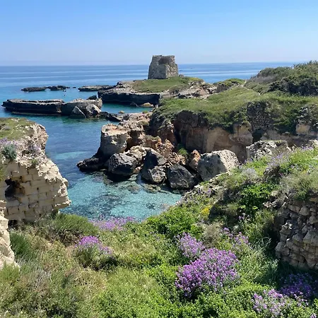 Azzurra Conca Specchiulla