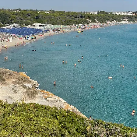 Azzurra *