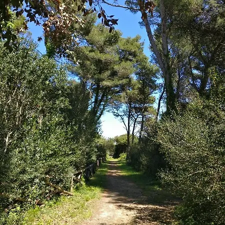 Azzurra Сasa de vacaciones *