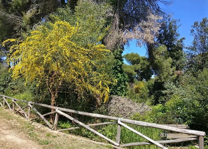 Azzurra בית נופש